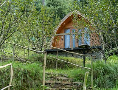 Forest pods