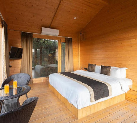 Wood interiors